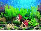 Aquarium Fish Tank Vivarium Background Picture Poster 12"/30cm Tall/drop/height4