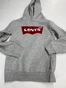 Levi's Levi Youth young men L Gray Pullover Hoodie Logo Hoodie good condition - Picture 1 of 13