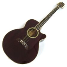 Takamine NPT-110 Acoustic Electric Guitar