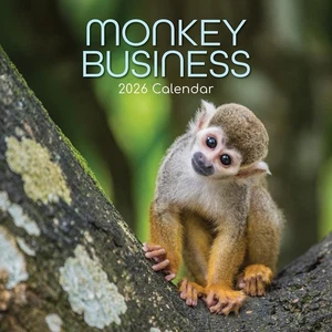MONKEY BUSINESS - 2026 WALL CALENDAR - BRAND NEW - 223917 - Picture 1 of 2