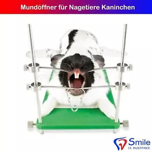 Zahnsanierungs Fixationsstand für Nagetiere Kaninchen Mundöffner Zahnbehandlungs - Bild 1 von 3