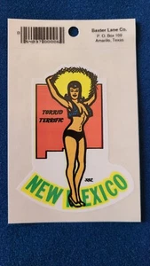 Rare New Mexico Bikini Girl Lady Woman Souvenir Vintage Decal Sticker, Free Ship - Picture 1 of 1