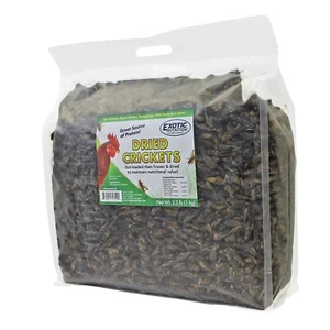 Grillos secos 2,2 lb - Golosina para insectos secos - erizo, pájaro, planeador de azúcar - Imagen 1 de 12