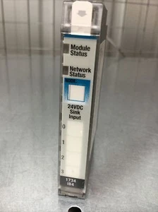ALLEN BRADLEY 1734-IB4 PUNTO E/S 4 CANALES 24VDC FREGADERO MÓDULO DE ENTRADA DIGITAL SERIE D - Imagen 1 de 2
