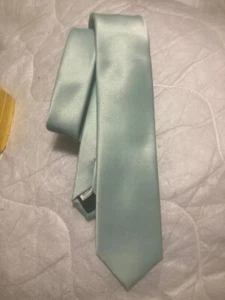 Vesuvio Napoli Italy Tie Chocolate MINT Color Design 61-inches long 2 1/2" wide - Picture 1 of 6