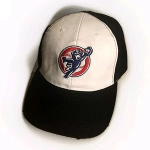 South Bend Cubs Hat Cap Strap Back Minor League Black White Promo Smoothie King - Picture 1 of 5