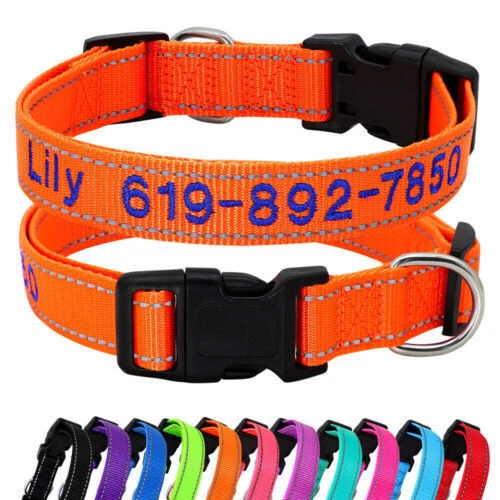 Leder Hundehalsband Mit Gravurplatte – Größe L (43–55 Cm), Braun, Messingbeschläge