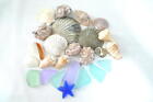 25 Pieces Seashells Beach Glass Table Decor Bowl Filler Beach House Decor