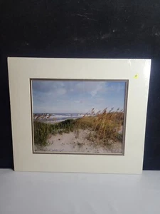 Michael Halminski Beach Photo 8x10 Signed - Picture 1 of 3