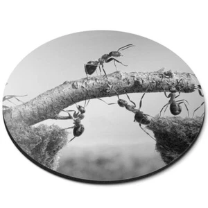 Okrągła mata pod mysz (bw) - Ant Team Building Work Together Office #36969 - Zdjęcie 1 z 8