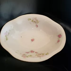 C.T. Altawasser bowl Silesian porcelain Floral serving pink VTG gift - Picture 1 of 3