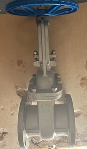 Sharpe SV35116060 Flanged Gate Valve 35116   6” Stainless Steel CF8M 150lb 316 - Picture 1 of 11