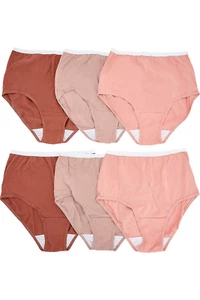 Breezies 6-Pack Original Cotton Brief Panties Tonal Pack - Picture 1 of 2