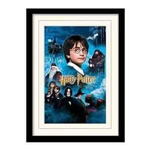 HARRY POTTER - Mounted & Framed 30X40 Print - Phil NUOVO