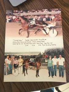 Vintage 1983 Geschirr Pferderennen 8x10 Foto Tricky Larry Driver Collin Bewertung - Bild 1 von 1