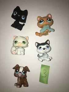 LITTLEST PET SHOP SET of 5 PETS - Scottie Huskie Boxer Kitten & Cat Loose LPS - Picture 1 of 7