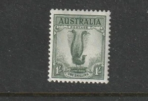 STAMPS AUST PREDECIMAL 1937 LYREBIRD PERF 13.5=14 MUH - Picture 1 of 1