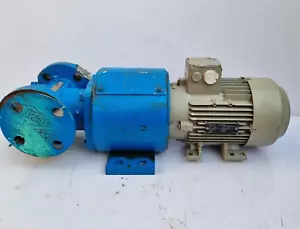 Viking Pump HL493 Steel Pump with Motor 3~ Mot 7AA90L06 - Picture 1 of 11
