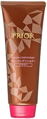 Shiseido Prior Color Acondicionador N Champú Marrón Cabello 230g Daños Reparación JP Foto 1 de 4