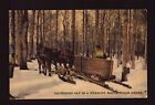 POSTCARD : VERMONT - VT - MAPLE SUGAR GROVE GATHERING SAP WITH HORSES 1920 VIEW