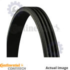 NEW V-RIBBED BELTS FOR LANCIA FIAT THEMA 834 834 C 146 834 B2 246 H3 CONTITECH