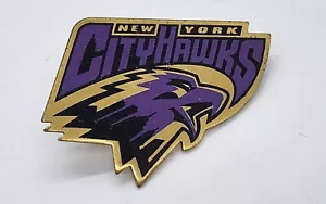 SPILLA DA COLLEZIONE VINTAGE 1997 1998 NEW YORK CITYHAWKS ARENA FOOTBALL LEAGUE AFL - Foto 1 di 4