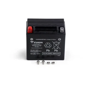 YUASA Batterie AGM Sans Entretien BATTERY FA YTX14 - Photo 1/1