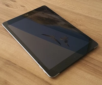 Apple iPad 9.7" (5ª Gen) 32GB Wi-Fi + Cellular - Grigio Siderale - 2017 - A1823 - Immagine 1 di 4