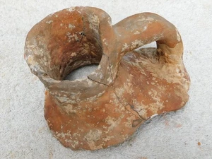 8" Ancient Greek Shipwreck Amphora Pottery Shard Hellenistic Agean BCE Artifact - Picture 1 of 5