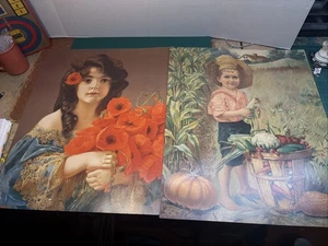 Old Vintage Prints Flowers Pumpkins Printed In Germany 16 By 20 Inches - Picture 1 of 15