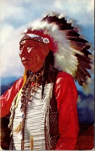 Postal Jefe Sioux Ogalalala Negro Alce - Imagen 1 de 2