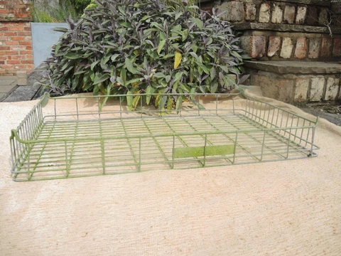 Vintage Galvanised Wire Tray  Greenhouse Tray York Hams   (1240) Cover
