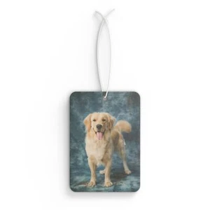 Car Air Freshener - Picture 1 of 5