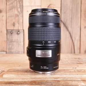 Canon EF 75-300mm f/4-5.6 IS USM Zoomobjektiv Ultrasonic - Pilz - Bild 1 von 6