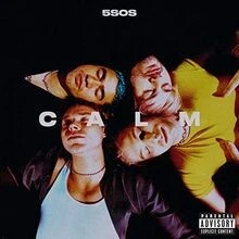 Calm von 5 Seconds of Summer | CD | Zustand sehr gut - Bild 1 von 2