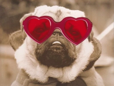 TARJETA PAPIRO SAN VALENTÍN NIP PRECIO DE VENTA SUGERIDO POR EL FABRICANTE $5.95 PERRO EN GAFAS TARJETA (N6) Foto 1 de 3