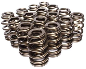 PAC RACING SPRINGS 1.307 Valve Springs - Ovate Beehive (16) PAC-1219X-16 - Bild 1 von 2
