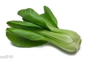 300+ Pcs Baby Choy Seeds Chinese Cabbage Shanghai Baby Bok Choi Vegetable Seeds - Picture 1 of 2
