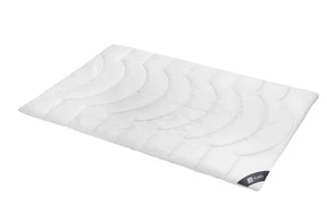 SPESSARTTRAUM Faser-Duodecke SILBER Wärmegrad warm - Bild 1 von 21