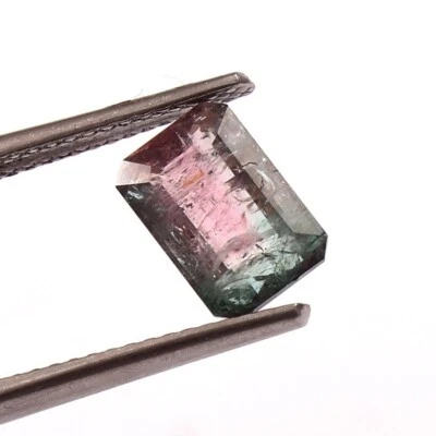 Loose Gemstone Natural Bio Tourmaline Emerald Cut Faceted Octagon A1195 - Image 1 of 3