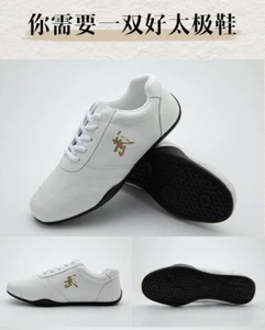Wushu Sports Sneakers Simulated Soft Cowhide Leather Kung Fu Tai Chi Shoes - Picture 1 of 6