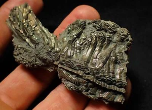 Detailed chunky pyrite crinoid fossil (78 mm) Jurassic Coast Fossils rocks UK - Picture 1 of 10