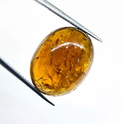 29.85 Cts Natural Tourmaline 21.5x17mm Oval Untreated Loose Cabochon Gemstone - Image 1 of 4