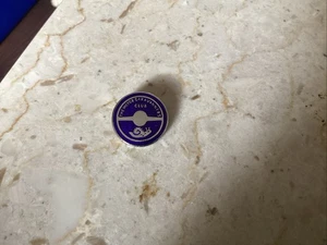 The Motor Caravanners Club Vintage Badge - Picture 1 of 3