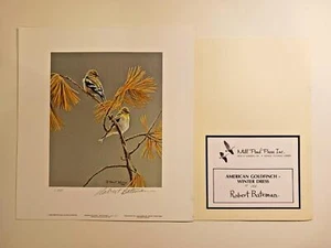 American Goldfinch - Vestido de Invierno, Estampado Firmado Robert Bateman 9 3/4" x 10" - Imagen 1 de 4