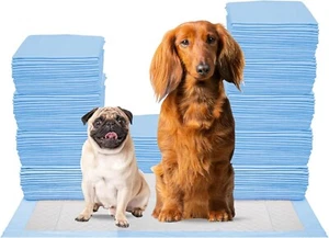 Pet Pads for Dogs 18"x24" Unscented Blue Ultra-Absorbent Underpads - 600 Count - Picture 1 of 12
