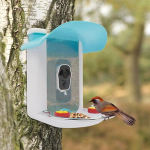 Solar Bird Feeder with Waterproof 1080p HD Camera Night Vision AI Recognition - Picture 1 of 17