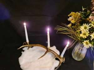 Handmade genuine naturally shed Red Deer Large Antler Candle Holder - Picture 1 of 4