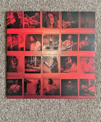 Chris Cornell No One Sings Like You Anymore LP + Insert Vinyl WIE NEU !!! - Bild 1 von 4