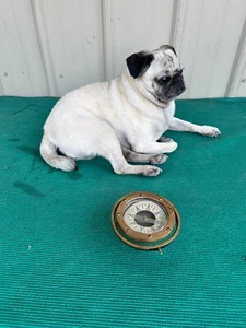 Vintage Dirigo Nautical Gimbal Compass Sail Boat Marine E M Shaman Seattle, WA - Picture 1 of 12